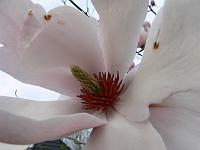 2009-04-22_17-28-47_0042