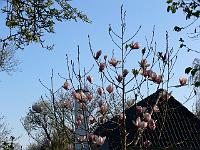 2009-04-24_06-43-29_0030