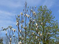 2009-04-25_14-46-26_0087