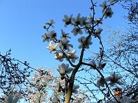 2009-04-17_07-08-00_0042