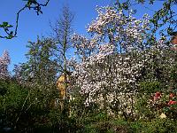 2009-04-25_07-39-39_0107