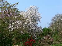 2009-04-29_09-39-48_0300