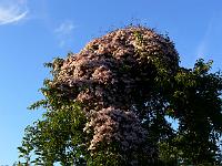 2009-05-22_19-35-08_0050