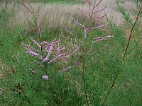 2008-09-05_17-42-17_0071