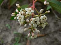 2009-06-29_15-31-22_0086